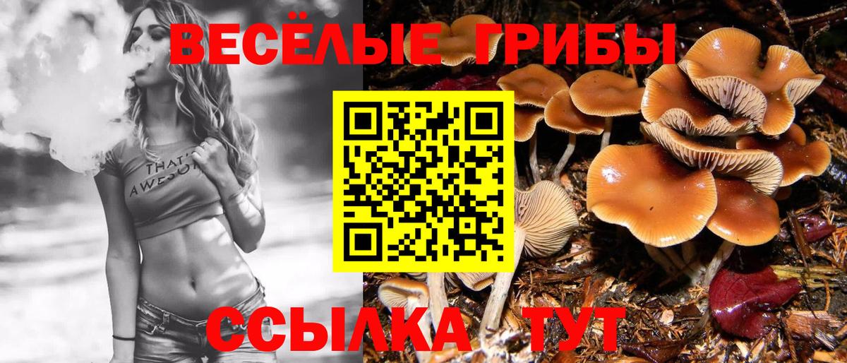 Обь  Галлюциногенные грибы Cubensis  Вход с VPN 